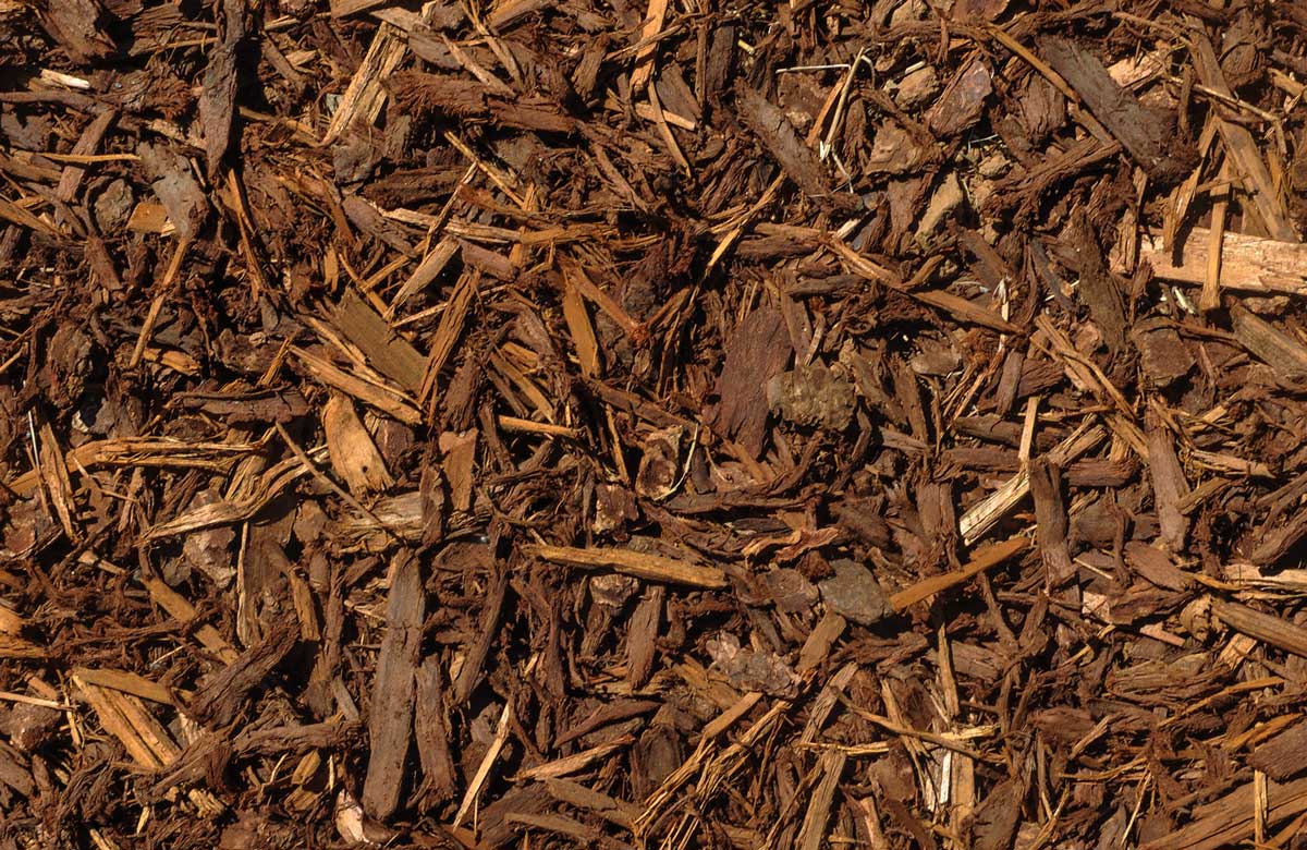 Brown Mulch