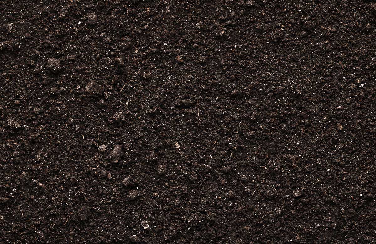 Topsoil