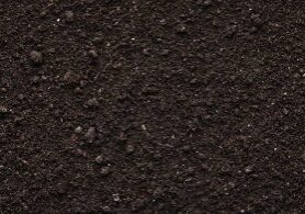 Topsoil